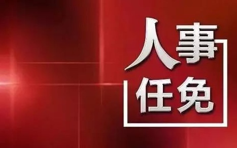 中央最新人事任免，蔡某某的新職務與未來展望