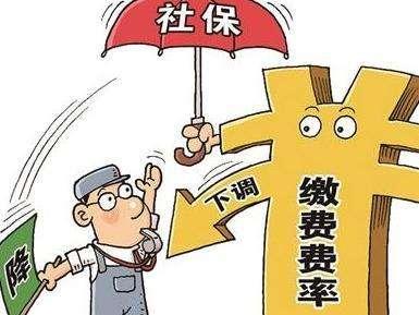 上海最新社?；鶖?shù)